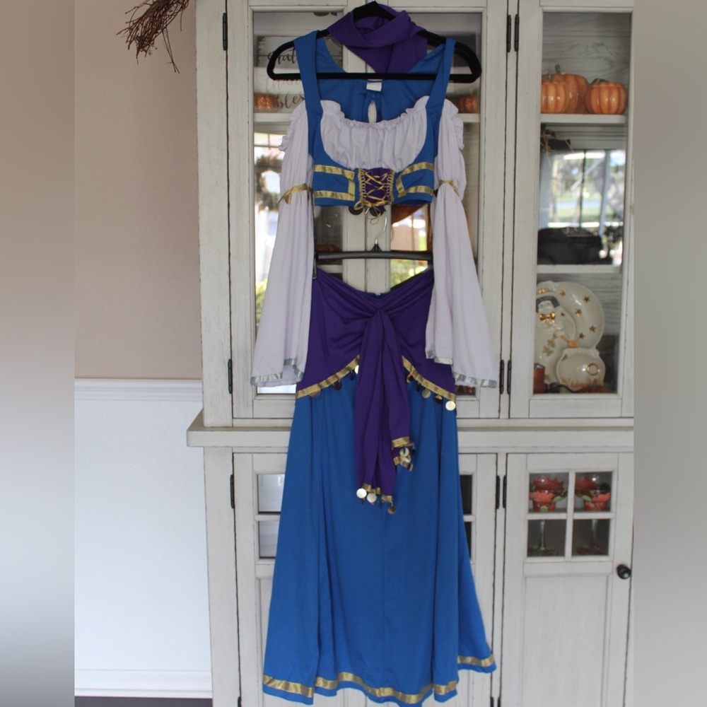 Leg Avenue Two Piece Seductive Gypsy Halloween Costume
